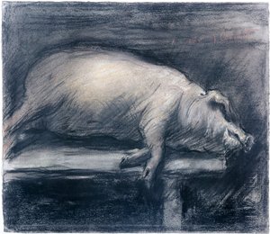 The Slaughtered Pig Drawing de Lovis Corinth (1858-1925) Nova Iorque, Museu de Arte Moderna