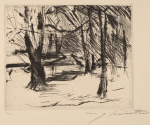 Árvores ao sol de Lovis Corinth
