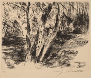 Bétulas no Tiergarten de Lovis Corinth