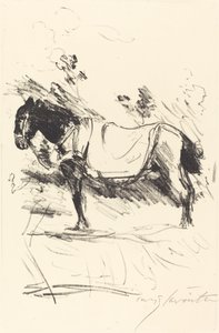 Reitpferd (cavalo) de Lovis Corinth