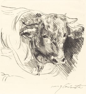 Stierkopf Head of a Steer, 1912. de Lovis Corinth