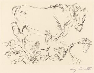 Vários estudos em animais de Lovis Corinth