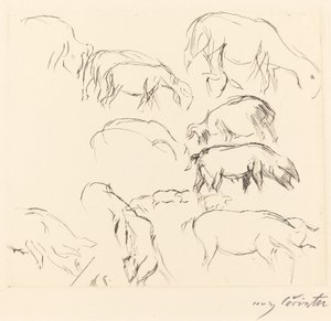 Vários Estudos Animais Estudos Animais, 1917. de Lovis Corinth