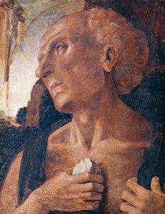 São Jerônimo, atribuído a Luca Signorelli (cerca de 1441 ou 1450-1523) de Luca (attr.to) Signorelli