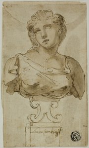 busto de mulher de Luca Cambiaso