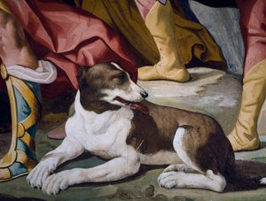 Cão, detalhe do fresco do ciclo de Histórias de Antenor