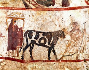 Um touro conduz sobre o altar do sacrifício afresco Lucaniano do século IV a.C., da necrópole de Andriuolo em Paestum, Itália. Museo nazionale archeologico, Paestum