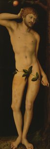 Adam, 1528 de Lucas Cranach the Elder