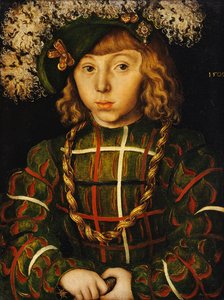 Retrato de Johann Friedrich, mais tarde Kurfuerst der Großmuetige von Saschen, 1509