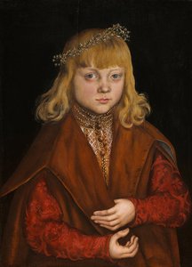 Um Príncipe da Saxônia, c.1517 (óleo no painel) de Lucas the Elder Cranach