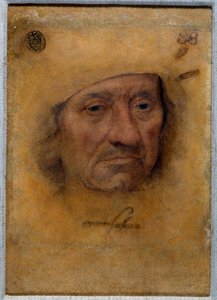 Retrato do Doutor Petrus von Clapis Desenho no pastel de Bruyn da Escola de Lucas Cranach, o Antigo (ou o Ancião de Lucas the Elder Cranach