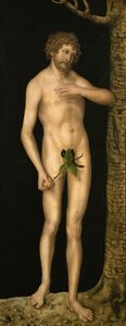 A Queda do Homem: Adam - Lucas Cranach, o Ancião (1472-1553). Óleo sobre madeira, ca. 1510-1520. Dimensão : 137x54 cm. Museu de História de Arte, Vienne de Lucas the Elder Cranach