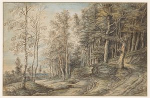 Paisagem florestal de Lucas van Uden