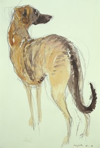 Lurcher de pé de Lucy Willis