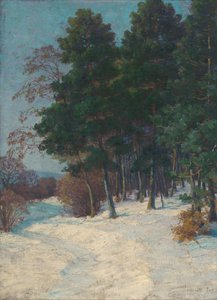 A floresta no Inverno