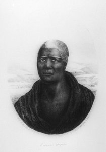 Kamehameha I, Havaí, 1816