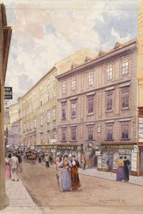 O mercado dos fazendeiros em Viena