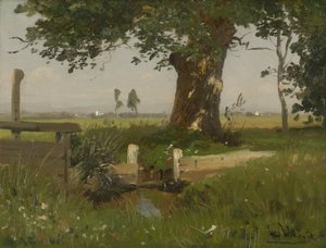 Paisagem de verão nos prados da Caríntia