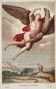 Ganimedes foi levado para o Céu ou Ganimedes Rapito, Livro X, ilustração de Metamorfoses de Ovídio, Florença, 1832 (gravura colorida à mão) de Luigi Ademollo