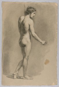 Nu Masculino