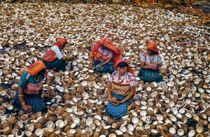 Indígenas do arquipélago de Mulatas, nas Ilhas San Blas, quebram cocos para obter copra...