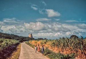 As mulheres nicaraguenses carregam cestos de produtos à cabeça numa estrada rural entre campos...