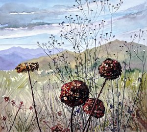 Flores silvestres e montanhas de Luisa Millicent