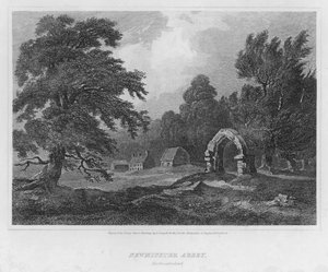 Newminster Abbey, Northumberland (gravura)
