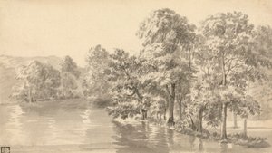 Árvores junto a um lago