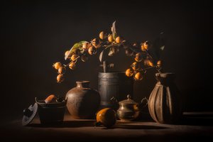 Natureza-morta de fruta de outono de Lydia Jacobs