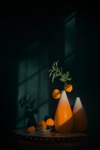 Brilho outonal de lanterna de Lydia Jacobs