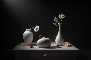 Margaridas, vasos e cerejas de Lydia Jacobs
