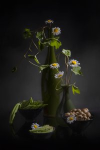 Margaridas e produtos frescos de Lydia Jacobs