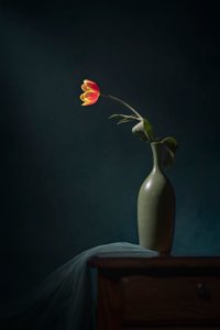Natureza-morta floral escura de Lydia Jacobs