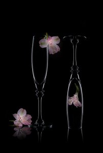 Delicada elegância floral de Lydia Jacobs