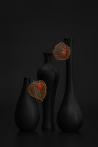 Elegante natureza-morta de physalis preto