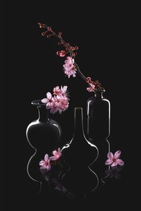 Vasos elegantes para flores