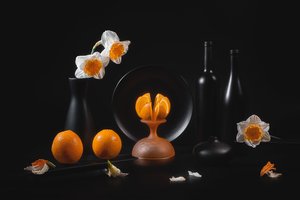 Elegante natureza-morta com citrinos de Lydia Jacobs