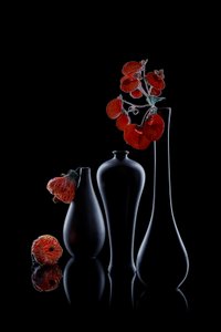 Flora escura elegante