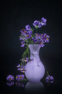 Elegante reflexo floral de Lydia Jacobs