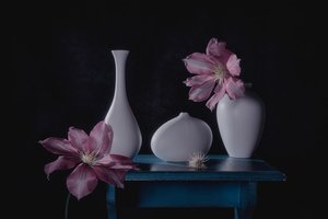 Natureza morta floral elegante
