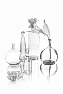 Elegantes tulipas de vidro de Lydia Jacobs