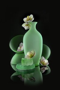 Floral Verde Elegante