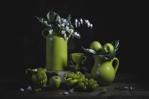 Elegante natureza-morta verde de Lydia Jacobs