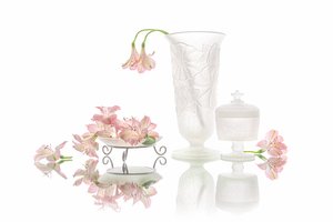 Elegante reflexo de flores cor-de-rosa de Lydia Jacobs