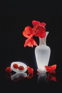 Elegante natureza-morta vermelha de Lydia Jacobs