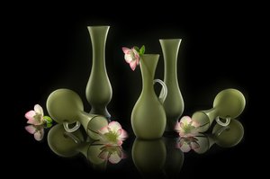 Jarras elegantes e flores de Lydia Jacobs