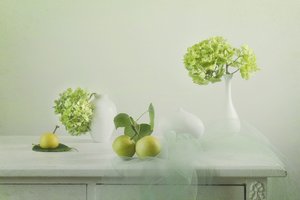 Natureza-morta verde fresca de Lydia Jacobs