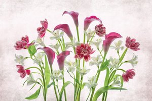 Flores frescas cor-de-rosa e brancas