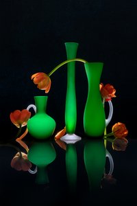 Jarras florais luminosas de Lydia Jacobs